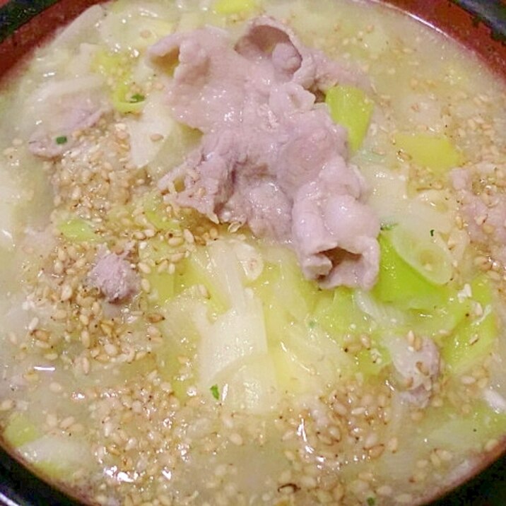 ネギたっぷりと手作り塩豚のラーメン